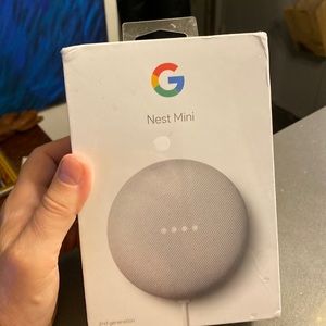 In Box Google mini nest